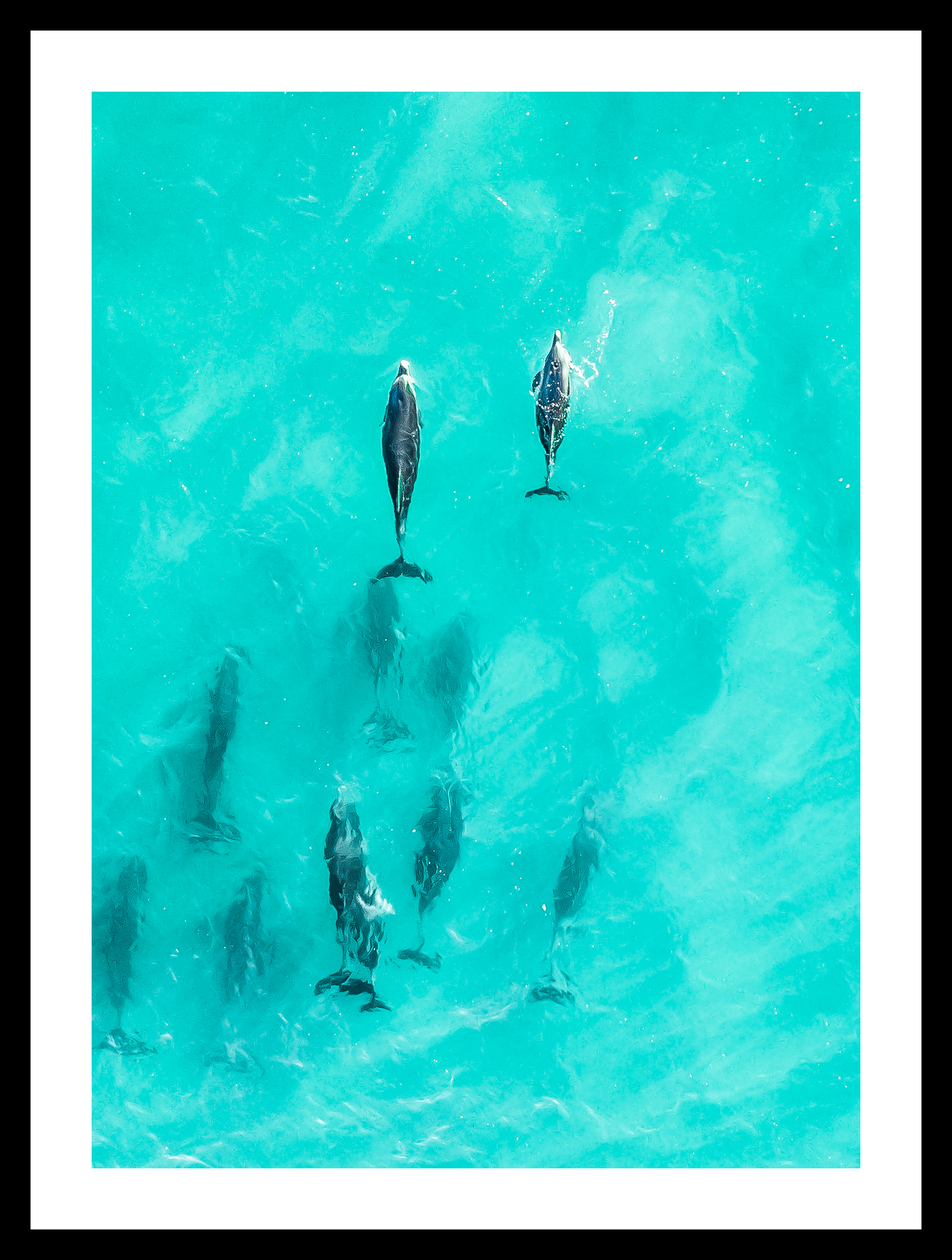 Ocean Companions – Premium Wall Art